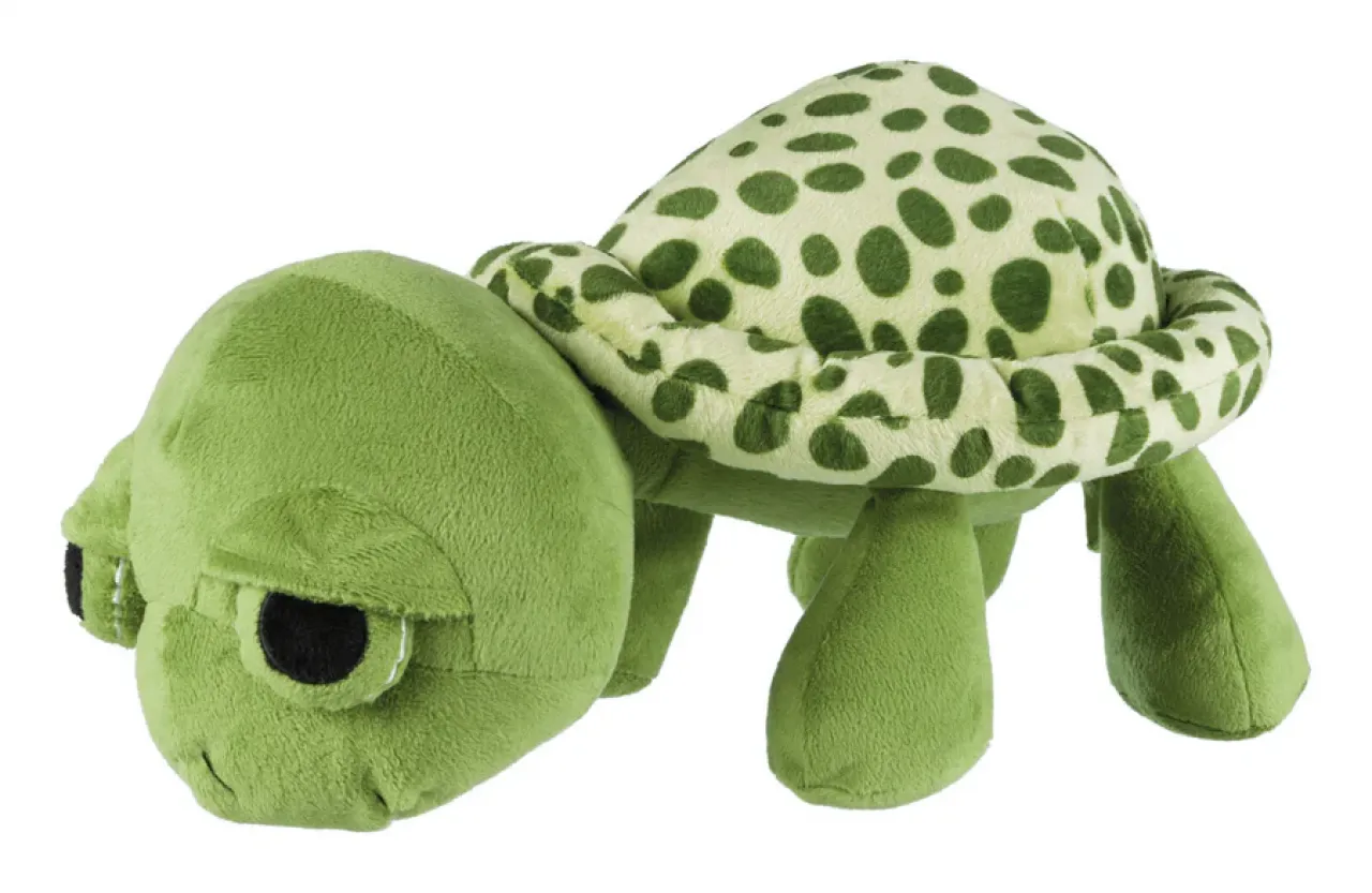 Schildkröte